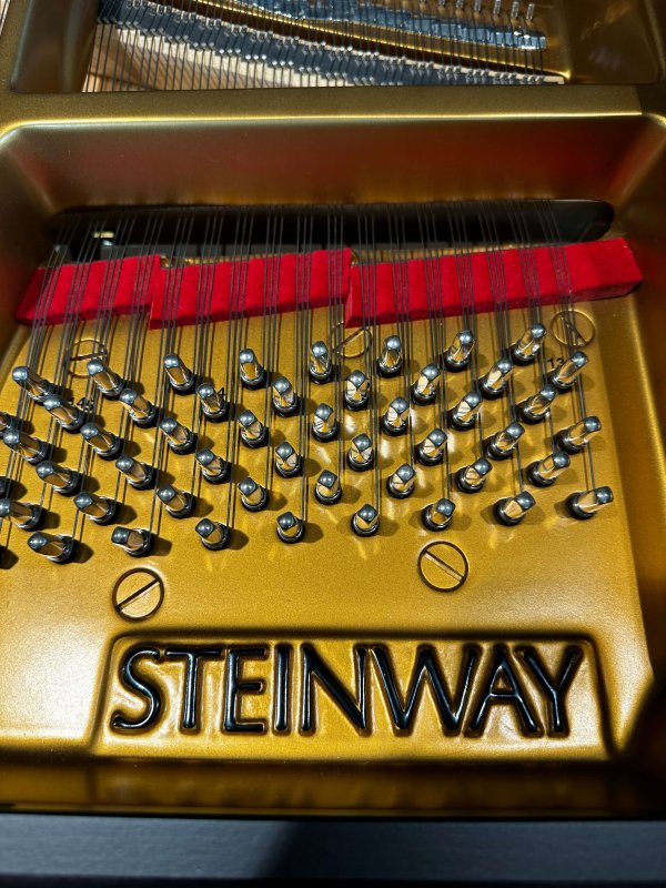 Steinway & Sons S-155 Flügel Bj. 1966